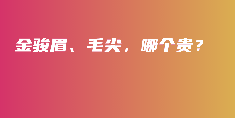 金駿眉、毛尖，哪個貴？插圖