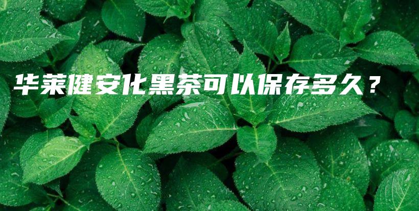 華萊健安化黑茶可以保存多久？插圖
