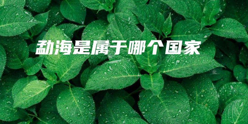 勐海是屬于哪個國家插圖