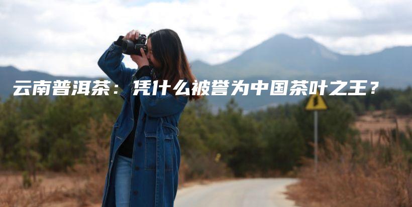 云南普洱茶：憑什么被譽為中國茶葉之王？插圖