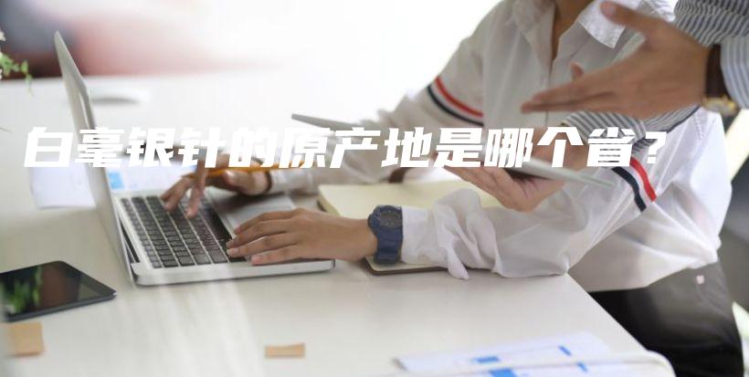 白毫銀針的原產(chǎn)地是哪個(gè)??？插圖