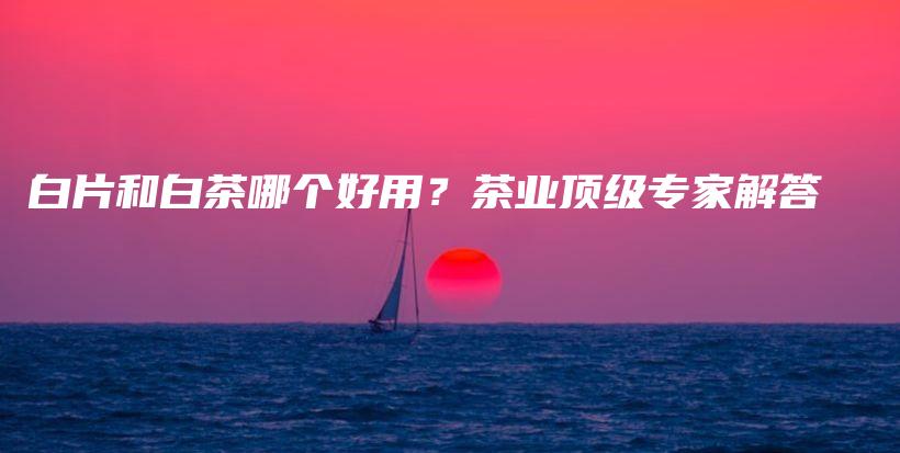白片和白茶哪個好用？茶業(yè)頂級專家解答插圖