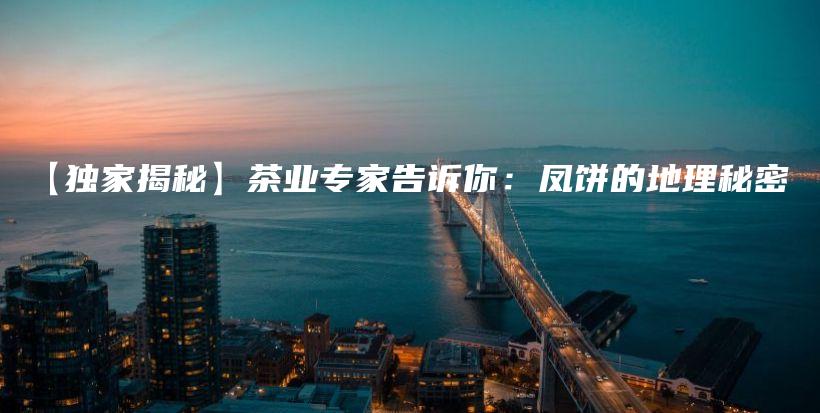 【獨家揭秘】茶業(yè)專家告訴你：鳳餅的地理秘密插圖