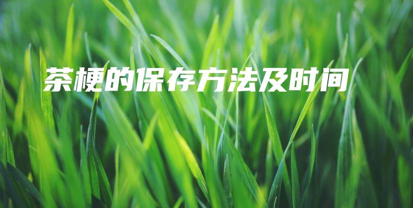 茶梗的保存方法及時間插圖