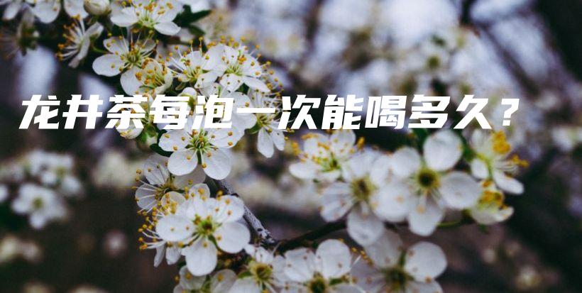 龍井茶每泡一次能喝多久？插圖