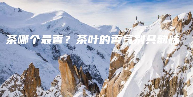 茶哪個(gè)最香？茶葉的香氣別具韻味插圖
