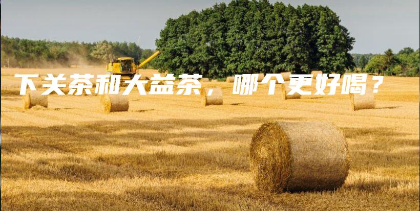 下關(guān)茶和大益茶，哪個(gè)更好喝？插圖