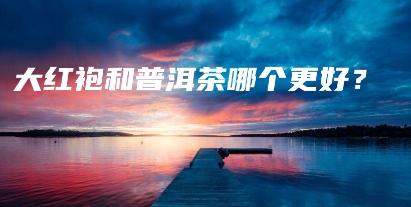 大紅袍和普洱茶哪個更好？插圖