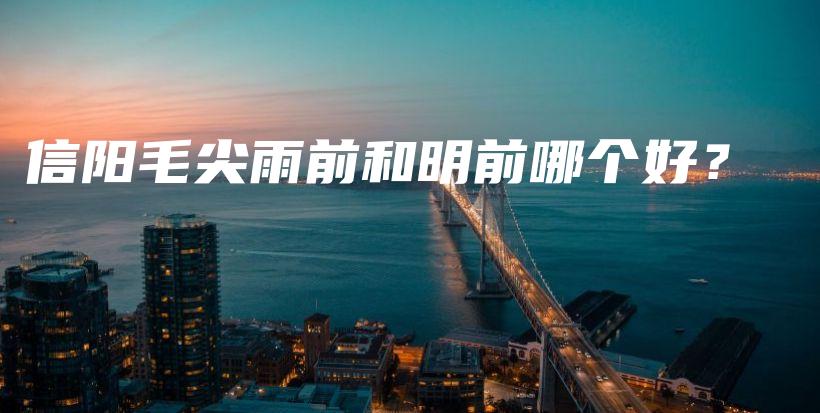 信陽(yáng)毛尖雨前和明前哪個(gè)好？插圖