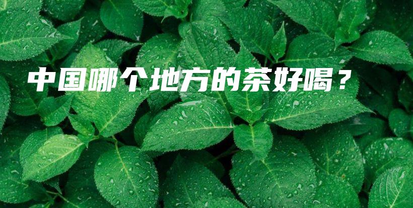 中國哪個地方的茶好喝？插圖