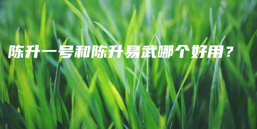 陳升一號和陳升易武哪個好用？插圖