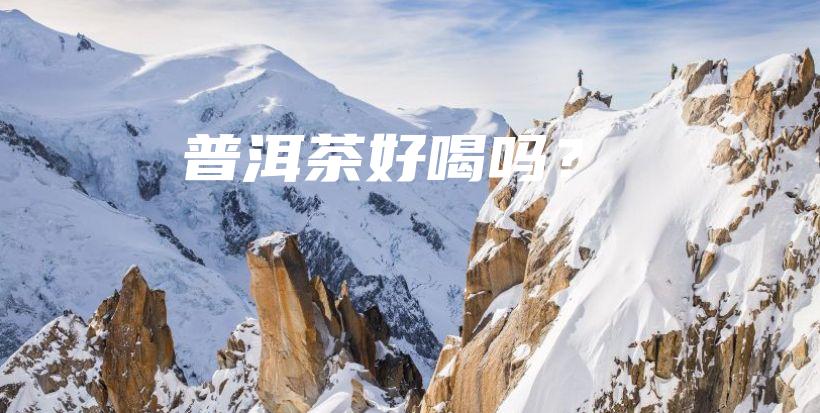 普洱茶好喝嗎？插圖
