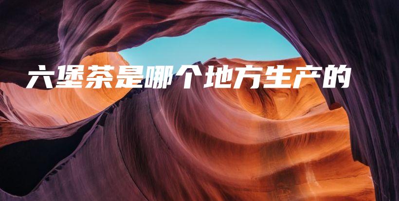 六堡茶是哪個地方生產(chǎn)的插圖