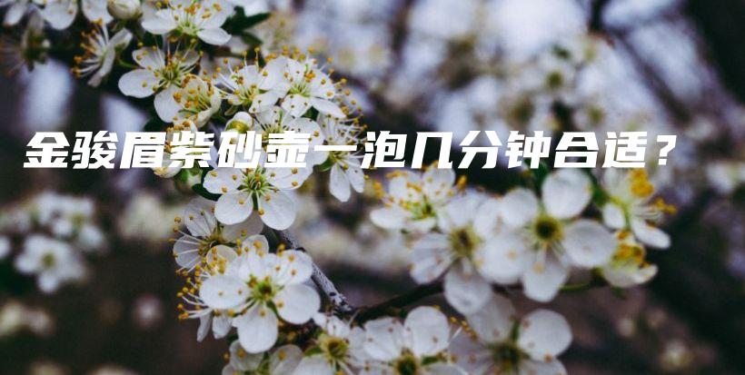 金駿眉紫砂壺一泡幾分鐘合適？插圖