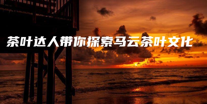 茶葉達(dá)人帶你探索馬云茶葉文化插圖