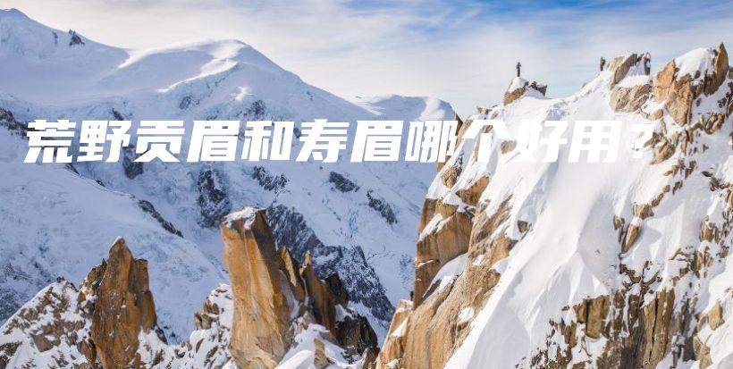 荒野貢眉和壽眉哪個(gè)好用？插圖