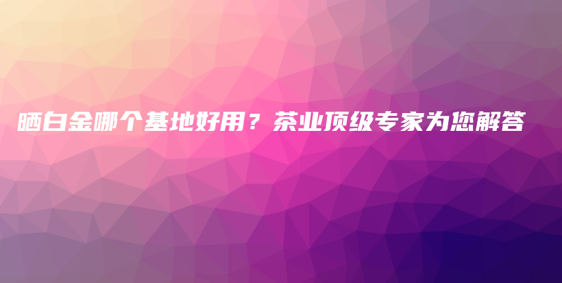 曬白金哪個基地好用？茶業(yè)頂級專家為您解答插圖