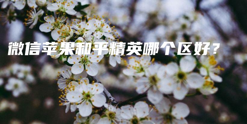微信蘋(píng)果和平精英哪個(gè)區(qū)好？插圖