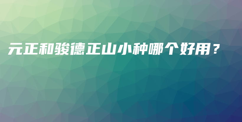 元正和駿德正山小種哪個好用？插圖