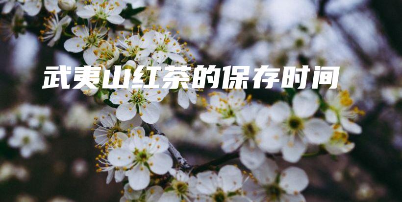 武夷山紅茶的保存時(shí)間插圖