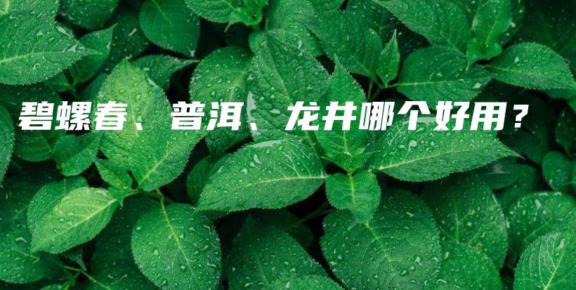 碧螺春、普洱、龍井哪個好用？插圖