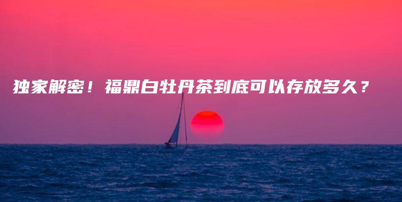 獨家解密！福鼎白牡丹茶到底可以存放多久？插圖