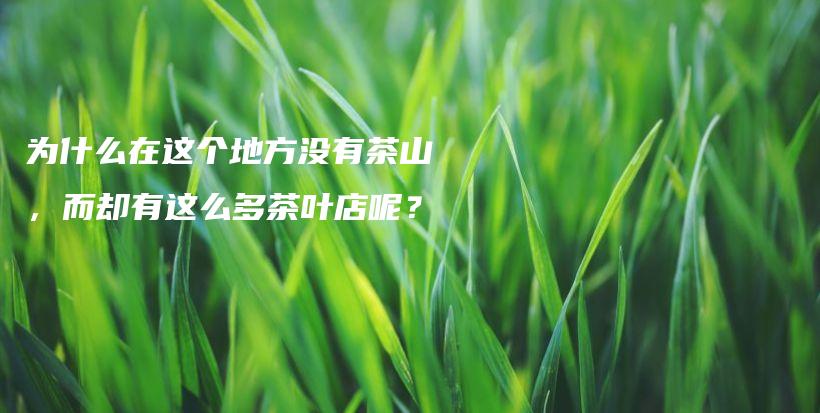 為什么在這個地方?jīng)]有茶山，而卻有這么多茶葉店呢？插圖