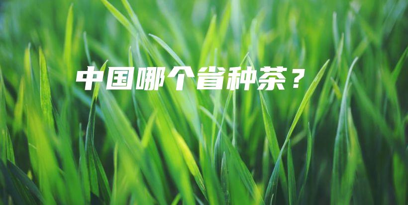 中國哪個省種茶？插圖