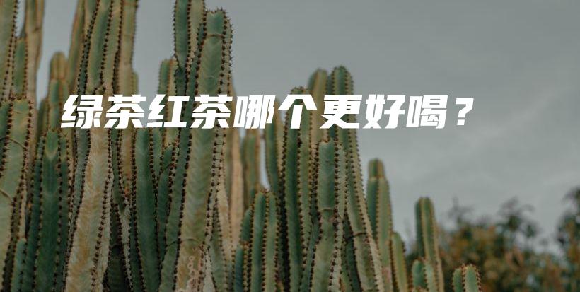 綠茶紅茶哪個更好喝？插圖