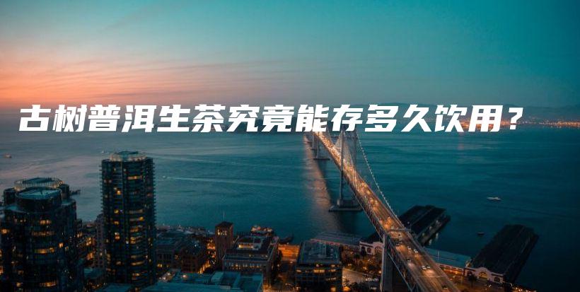 古樹(shù)普洱生茶究竟能存多久飲用？插圖