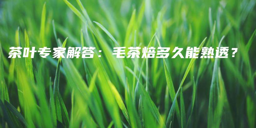 茶葉專家解答：毛茶焙多久能熟透？插圖