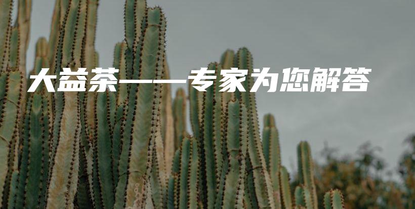 大益茶——專家為您解答插圖