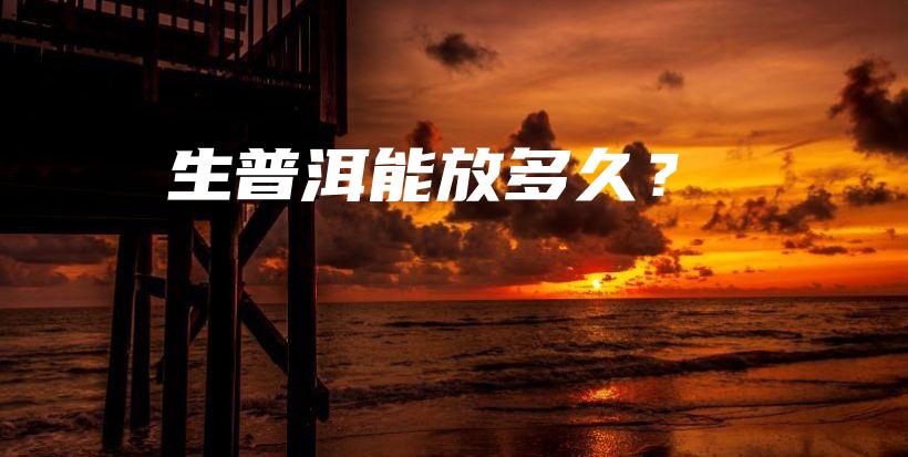 生普洱能放多久？插圖