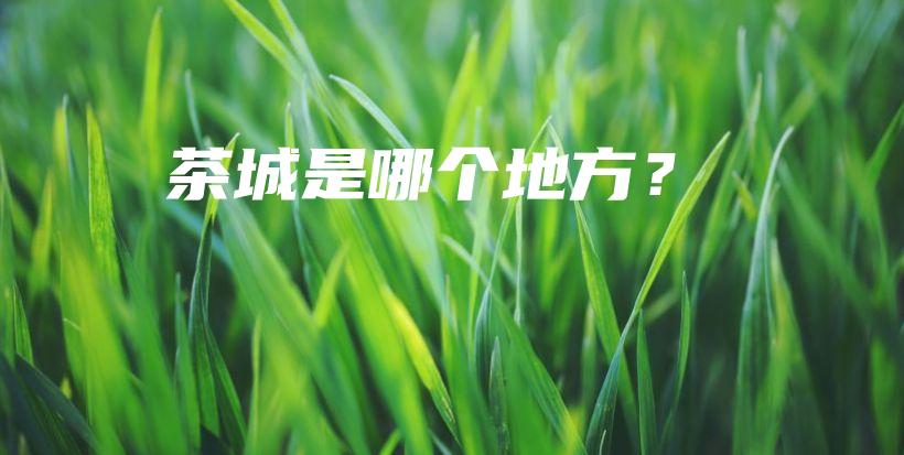 茶城是哪個(gè)地方？插圖