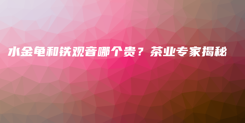 水金龜和鐵觀音哪個(gè)貴？茶業(yè)專家揭秘插圖