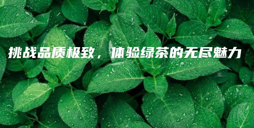 挑戰(zhàn)品質(zhì)極致，體驗(yàn)綠茶的無盡魅力插圖