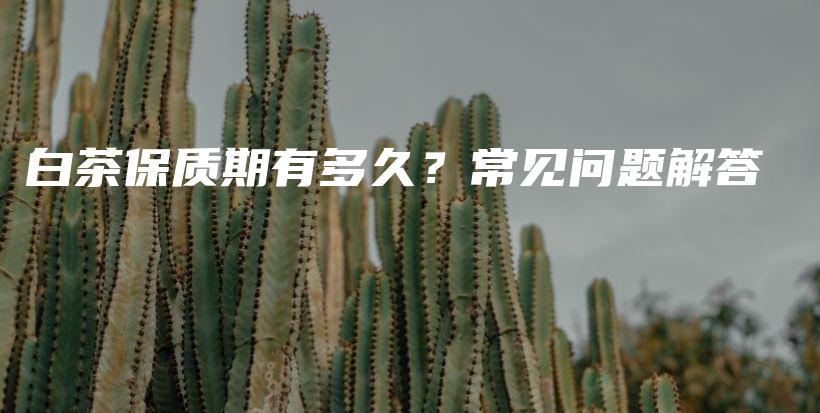 白茶保質(zhì)期有多久？常見問題解答插圖