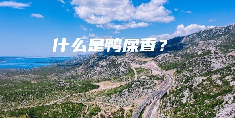 什么是鴨屎香？插圖