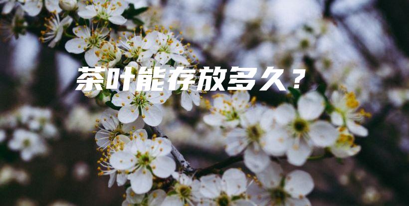 茶葉能存放多久？插圖