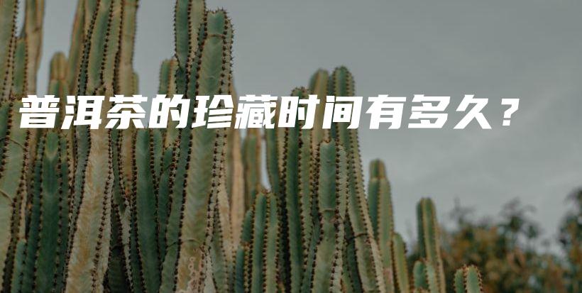 普洱茶的珍藏時(shí)間有多久？插圖