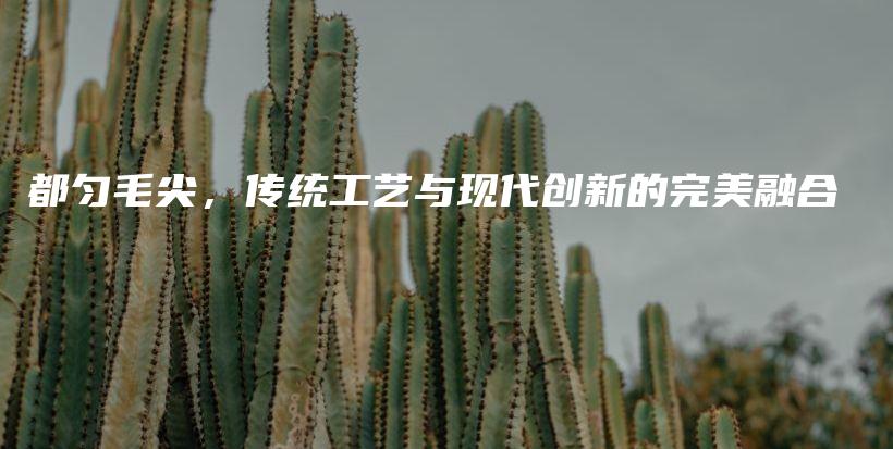 都勻毛尖，傳統(tǒng)工藝與現(xiàn)代創(chuàng)新的完美融合插圖