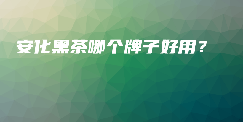 安化黑茶哪個牌子好用？插圖