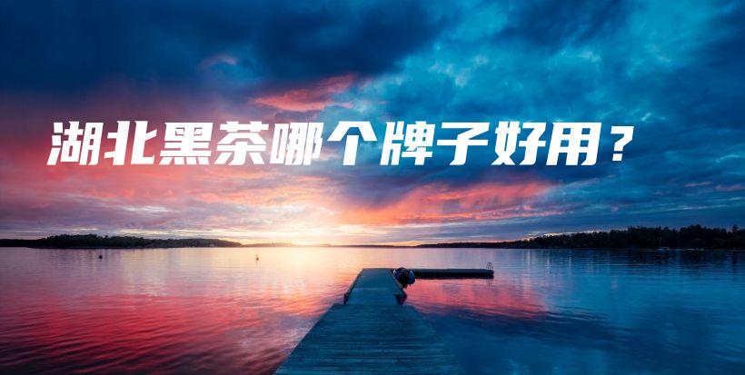 湖北黑茶哪個牌子好用？插圖