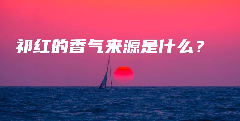 祁紅的香氣來(lái)源是什么？插圖