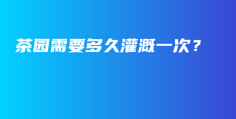 茶園需要多久灌溉一次？插圖