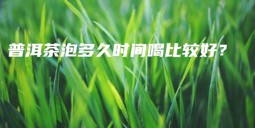 普洱茶泡多久時間喝比較好？插圖