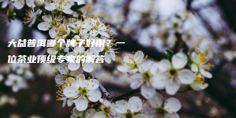 大益普洱哪個牌子好用？一位茶業(yè)頂級專家的解答插圖