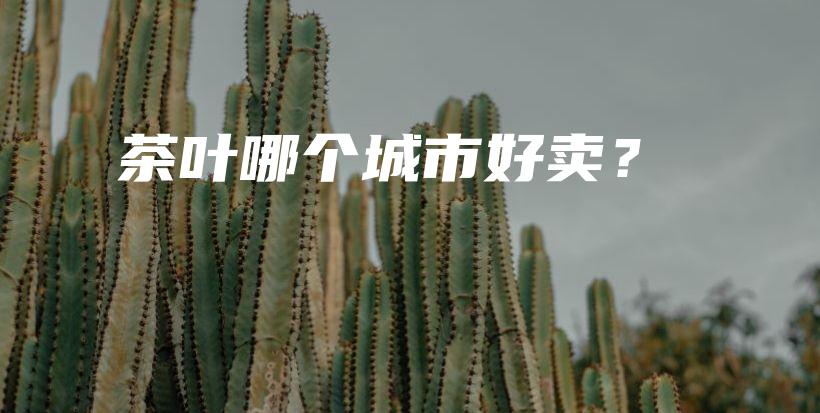 茶葉哪個(gè)城市好賣？插圖