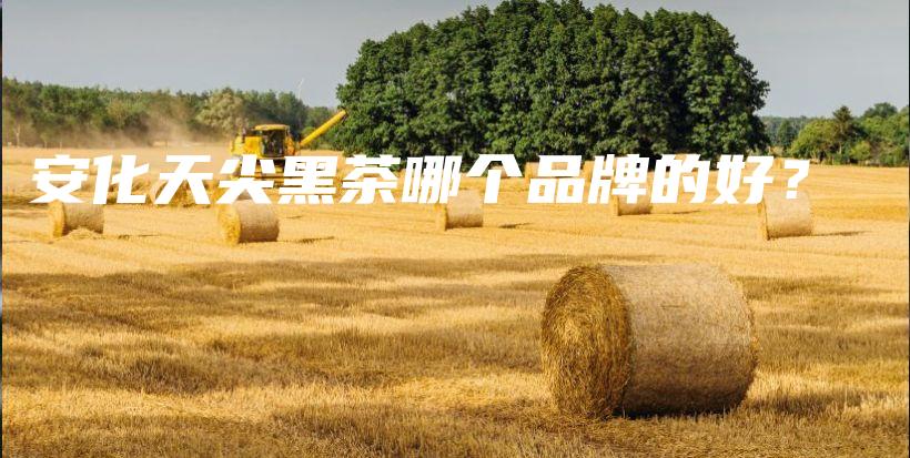 安化天尖黑茶哪個(gè)品牌的好？插圖