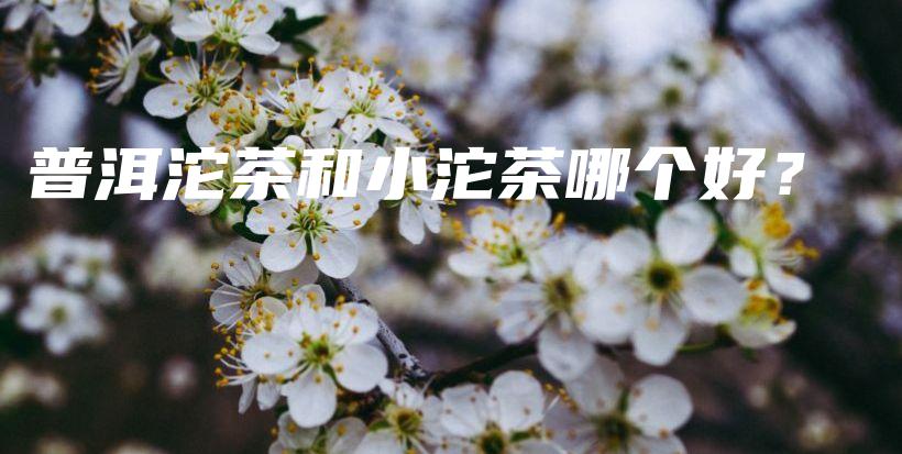 普洱沱茶和小沱茶哪個(gè)好？插圖